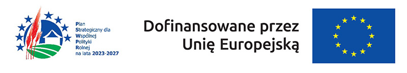 Dosinansowane przez Unię Europejską